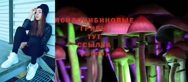 apvp Нягань