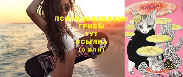 прущий лед Осинники